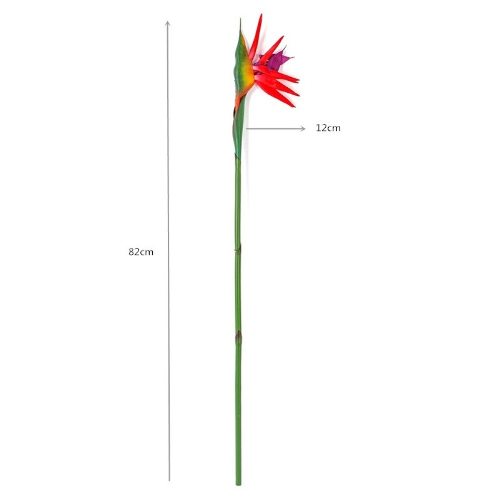Bird Paradise Strelitzia - Plantes artificielles Strelitzia à longue tige,