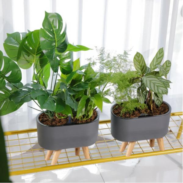 Aloe Vera Pot - Jardinière à arrosage automatique Simple, petites