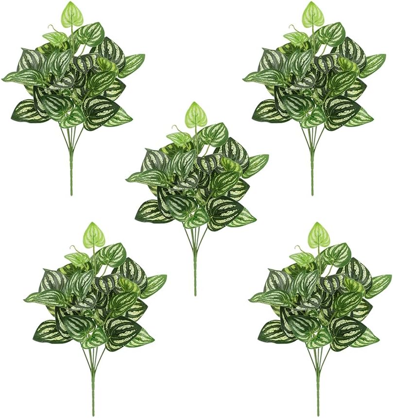 Peperomia Watermelon - Plante artificielle pastèque Peperomia, 5 pièces,