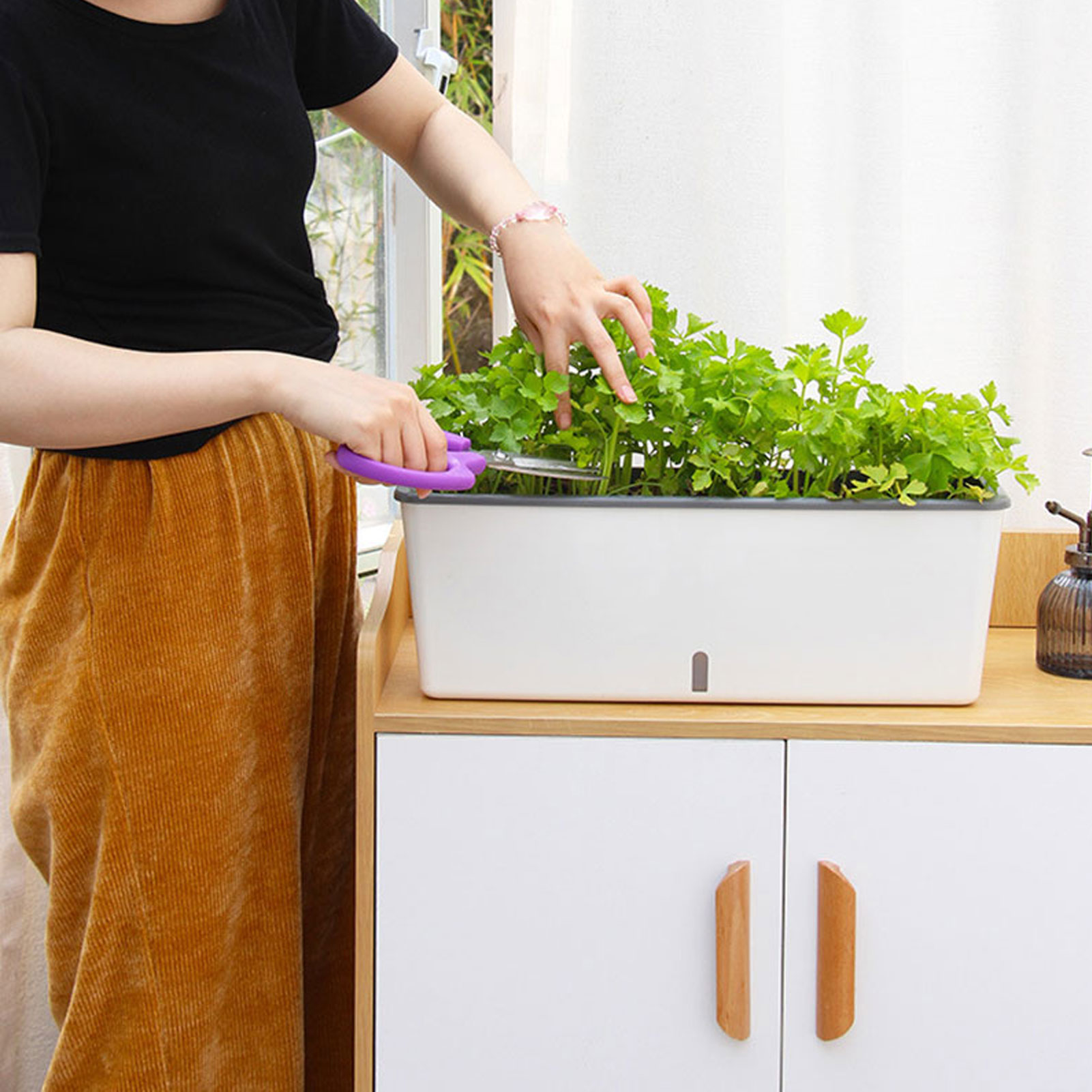 Pots de jardinière à arrosage  - Aloe Vera Pot avis et prix