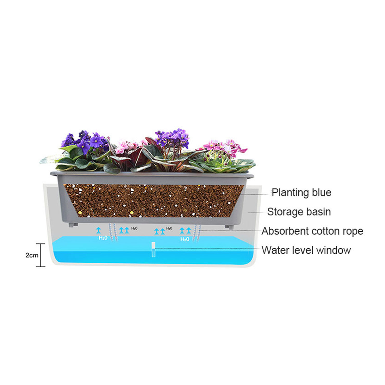 Pots de jardinière à arrosage  - Aloe Vera Pot avis et prix