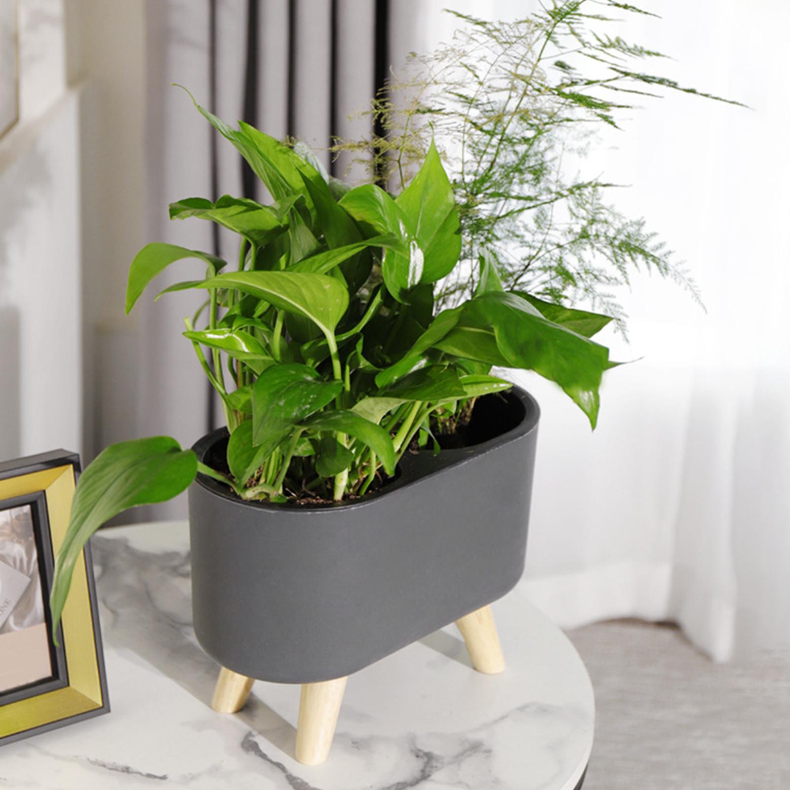 Jardinière à arrosage automati - Aloe Vera Pot avis et prix