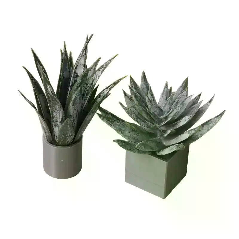 Miniature Plante d'Aloe Vera e - Aloe Vera Pot avis et prix