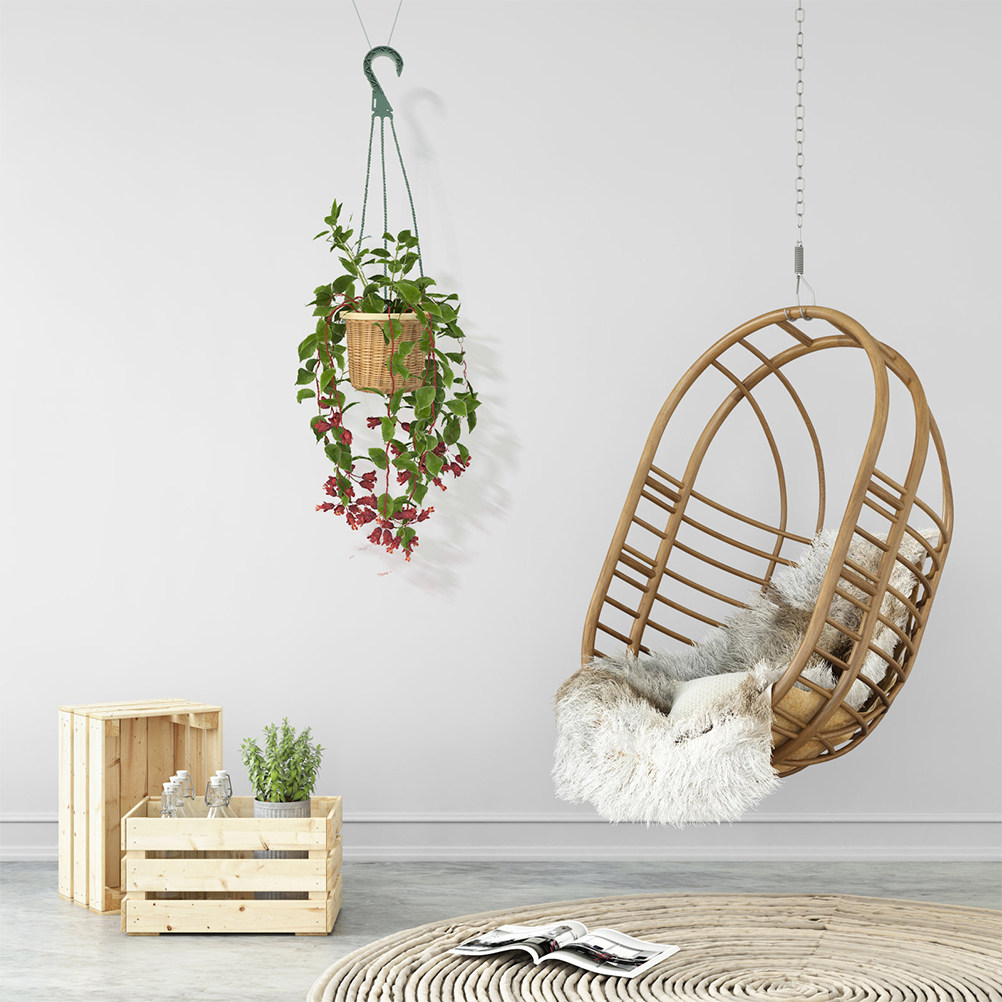 Ensemble de 5 crochets de susp - Spider Plant Hanging avis et prix