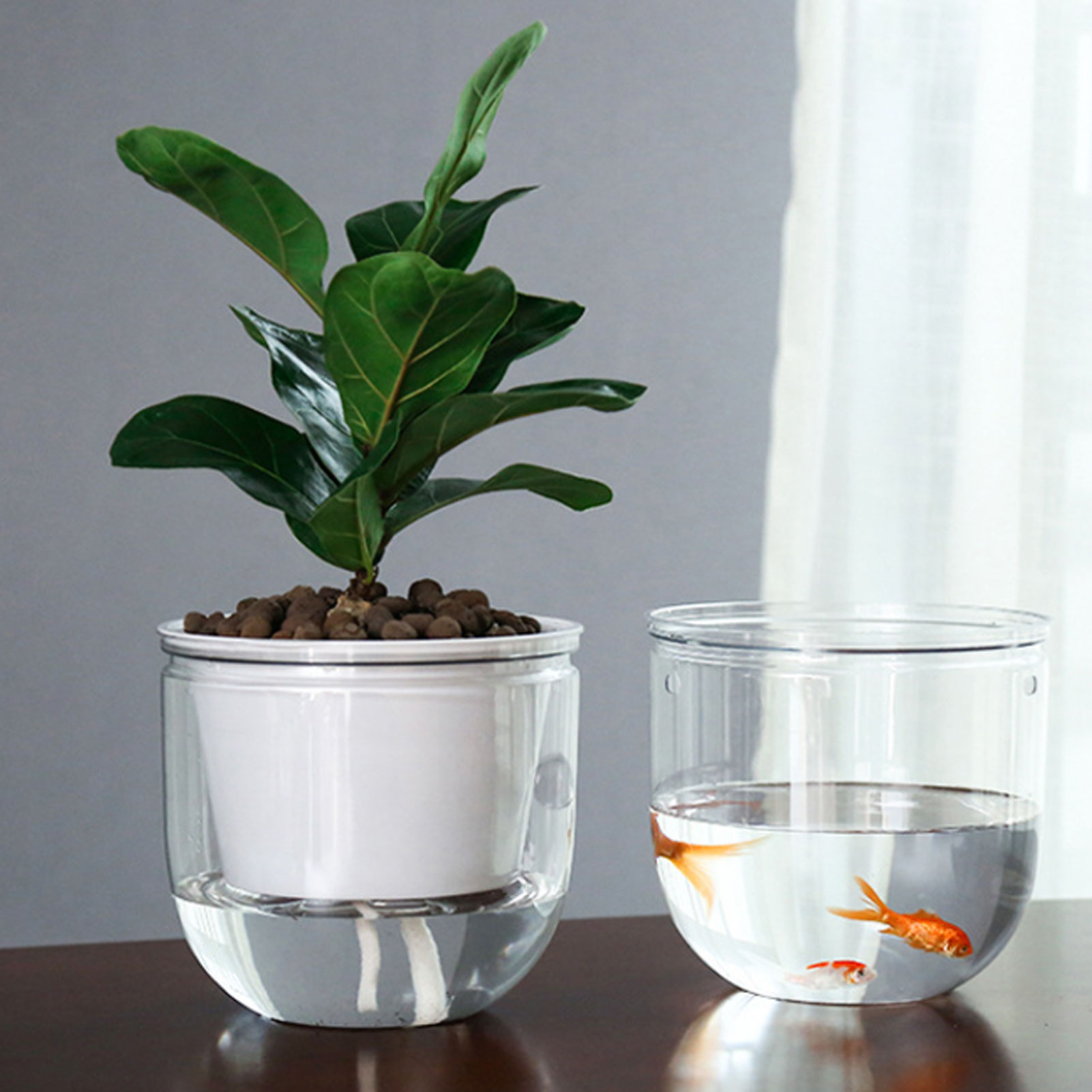 Pots de plantes à arrosage aut - Spider Plant Hanging avis et prix