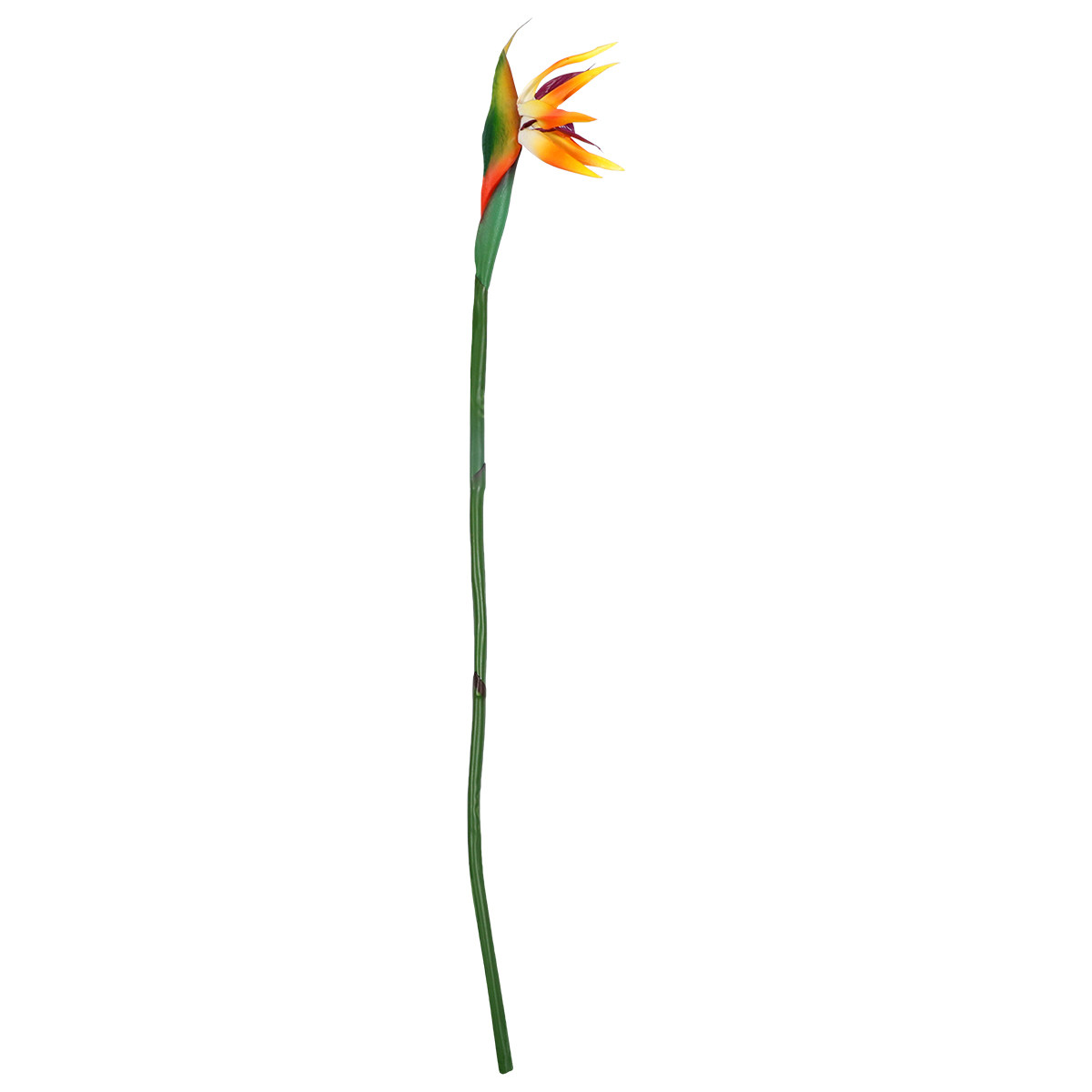 Fleur artificielle de Strelitz - Bird Paradise Strelitzia avis et prix