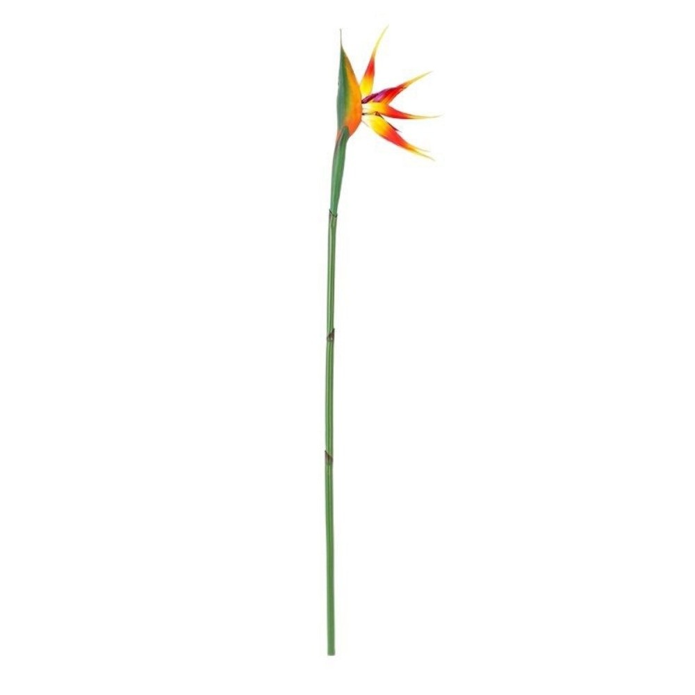 Plantes artificielles Strelitz - Bird Paradise Strelitzia avis et prix