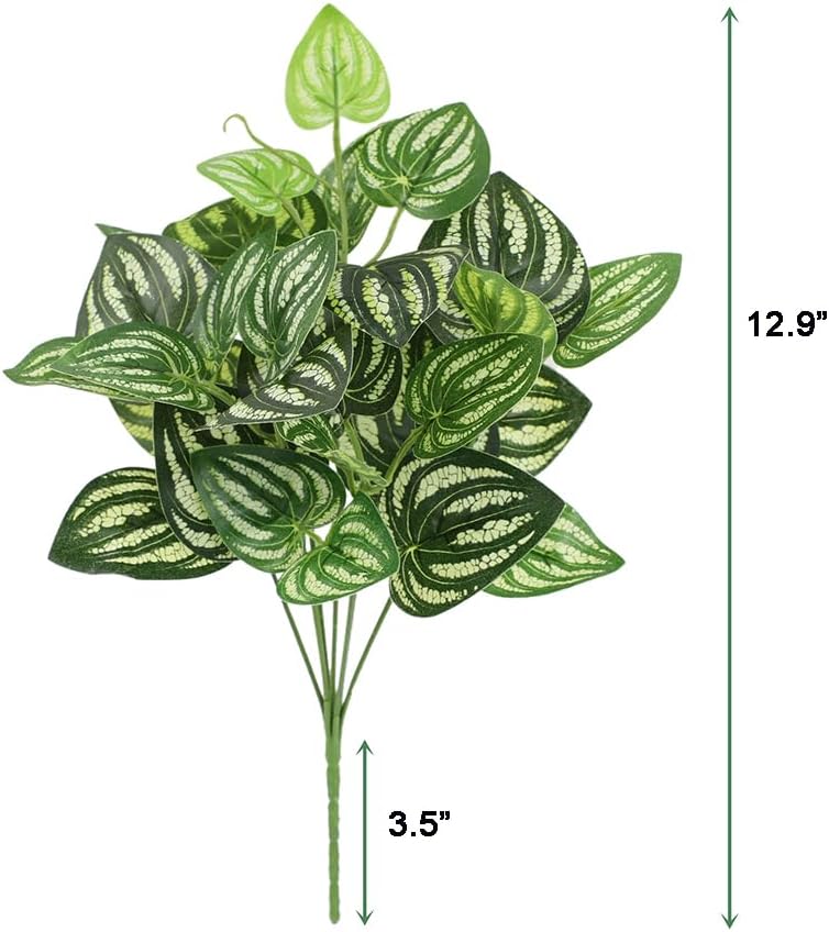 Plante artificielle pastèque P - Peperomia Watermelon avis et prix