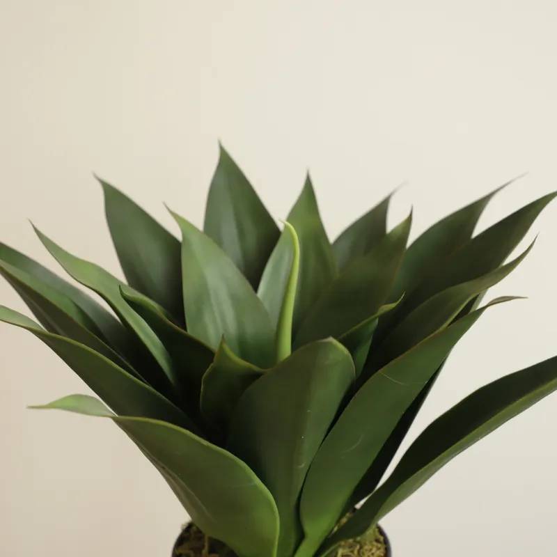 Plante artificielle en pot Alo - Aloe Vera Pot avis et prix